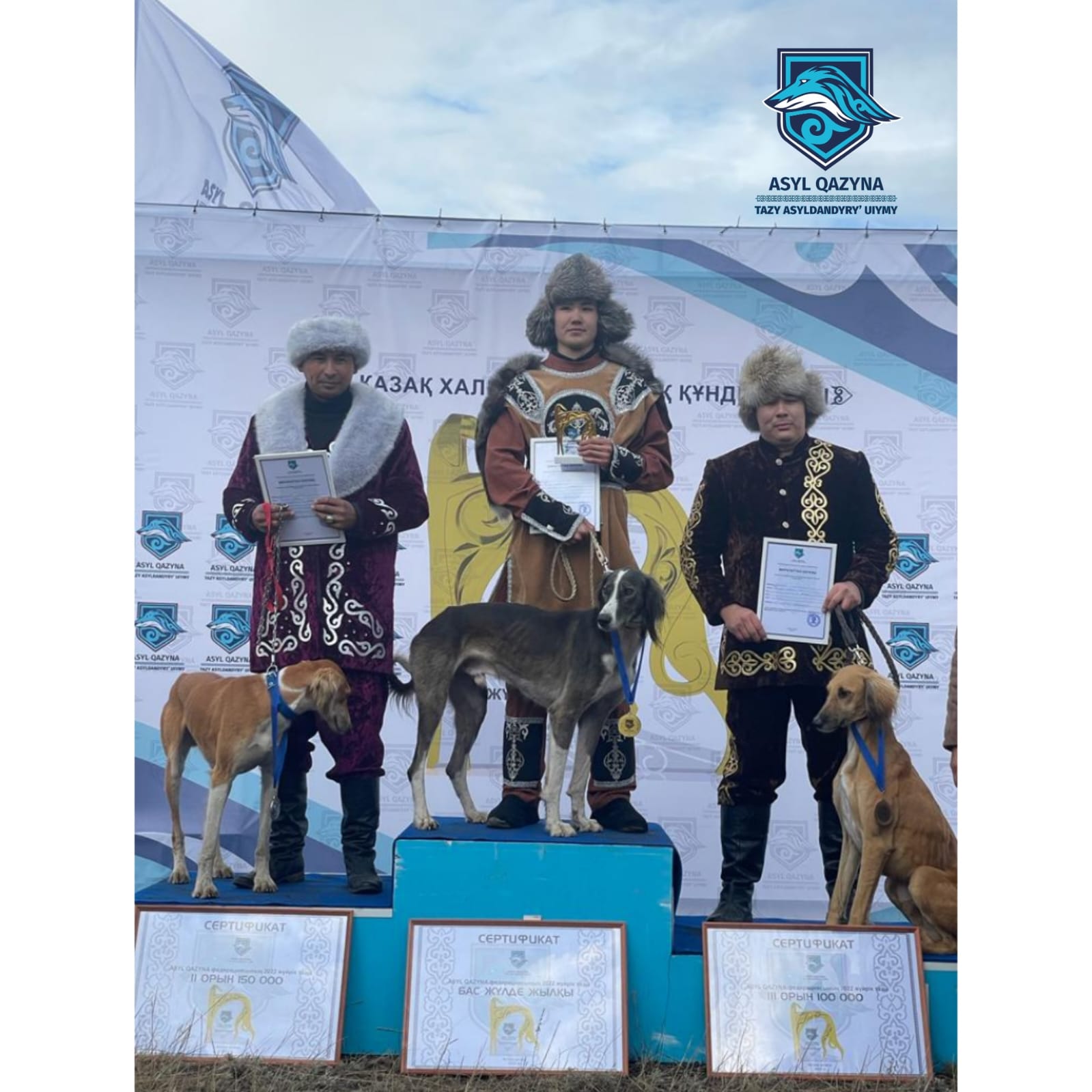 One of the miracles of Kazakhstan the Tazy hunting dog breed (with