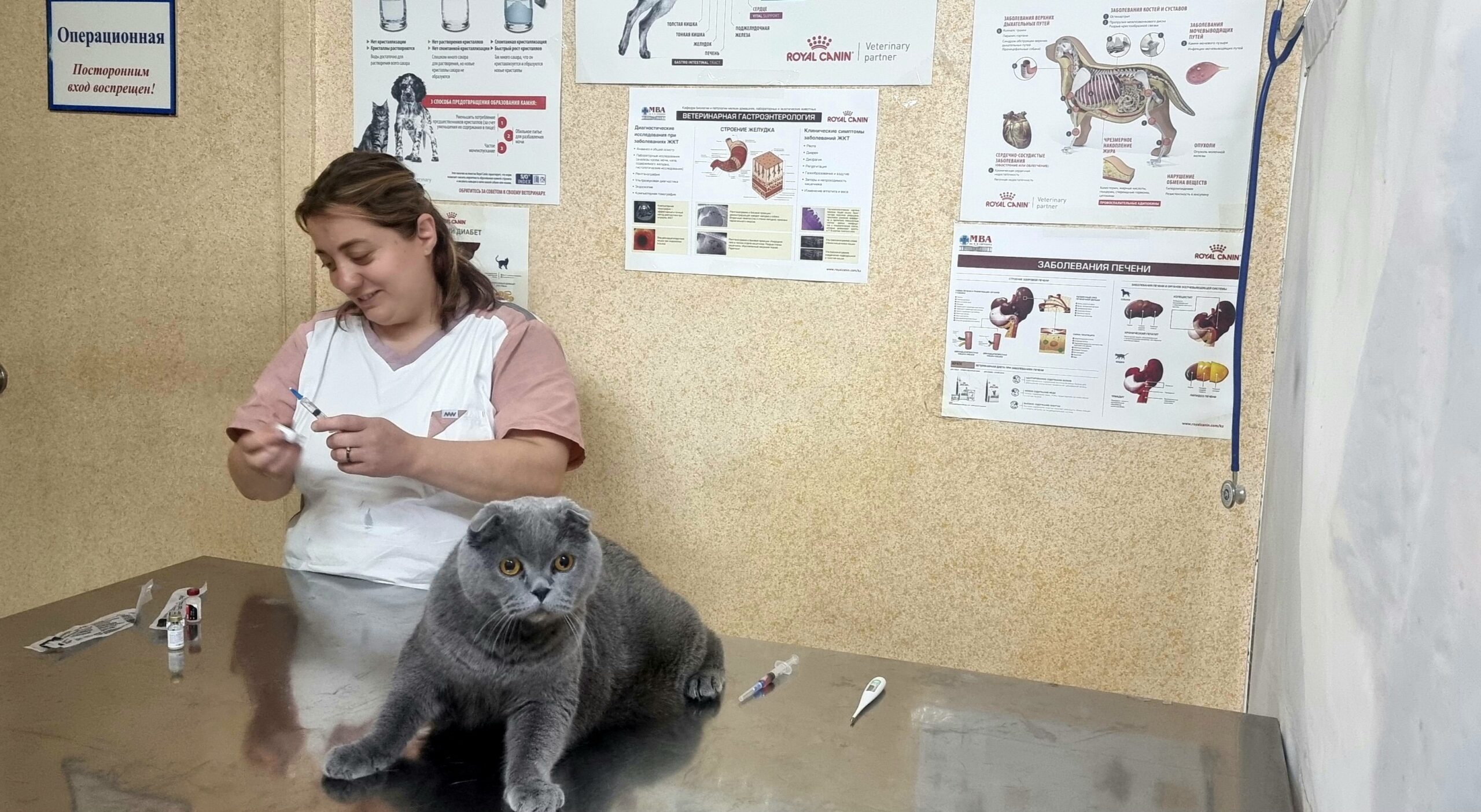 Heroes of Animal Care Recount Challenges and Advantages of Profession