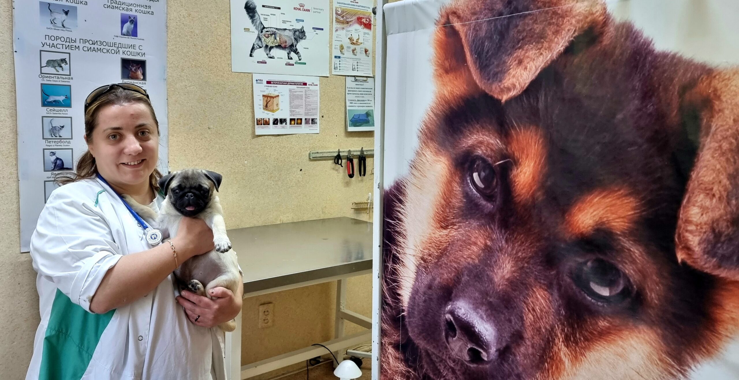 Heroes of Animal Care Recount Challenges and Advantages of Profession