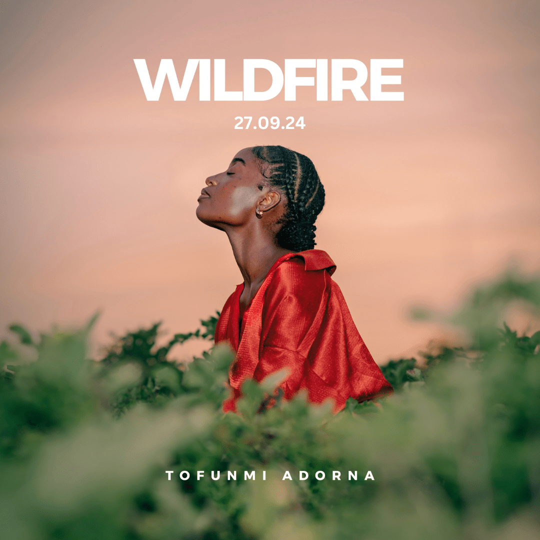 NEW DANCE TRACK BY TOFUNMI ADORNA SPREADING LIKE 'WILDFIRE' AStepFWD