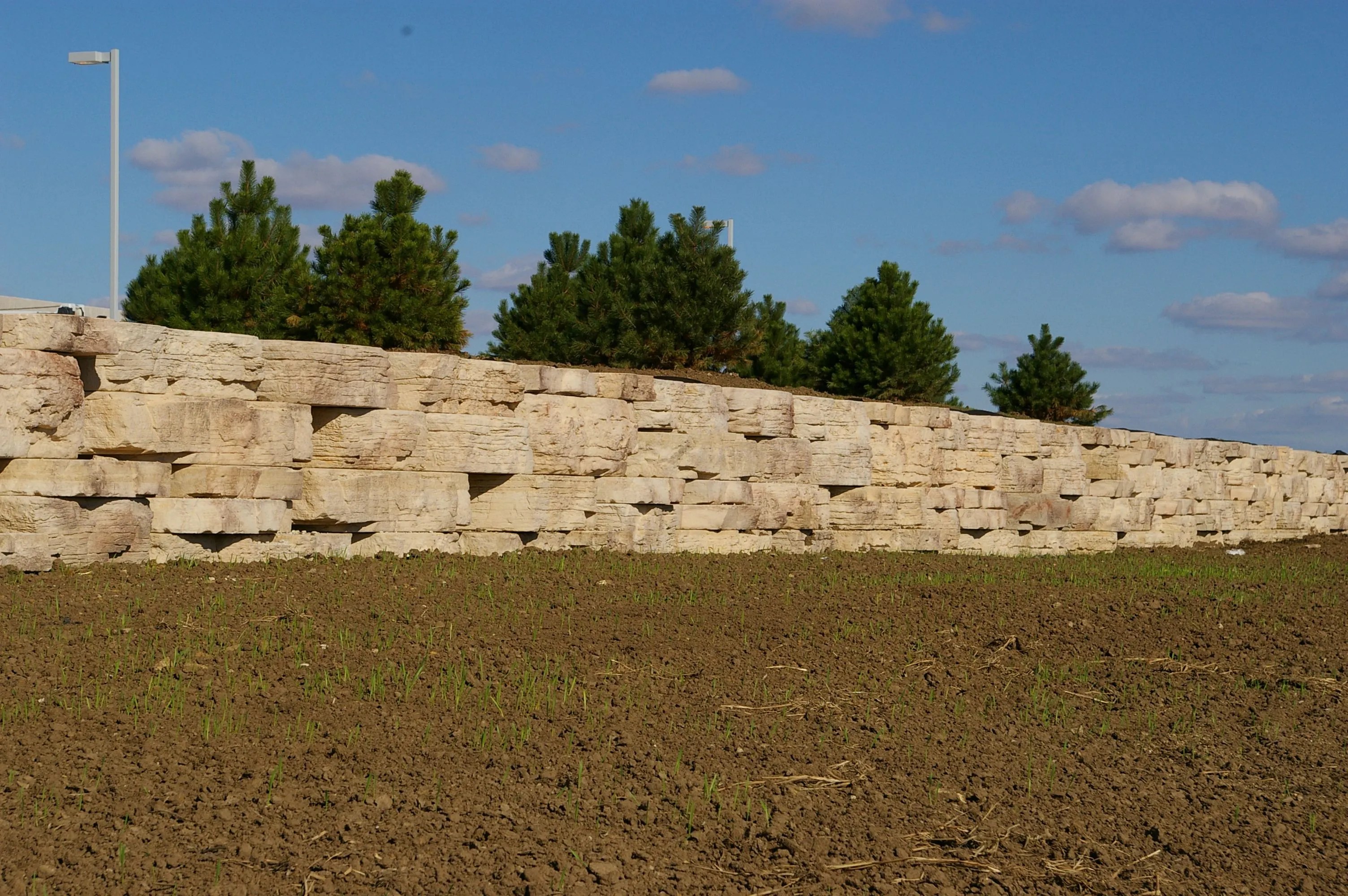 Rosetta Wall Creates Sustainable Solutions