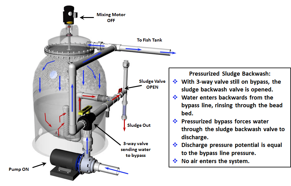 Propeller Bead Filter Operation and Backwash Aquaculture Systems