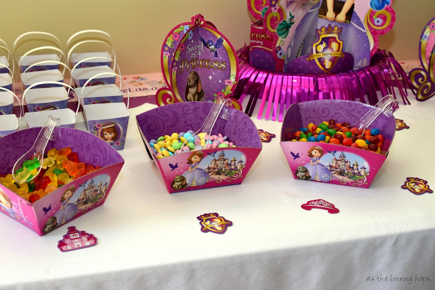 Sofia the First Party As The Bunny Hops®