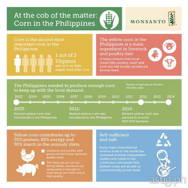 Interesting facts about the Philippine corn that you may not know