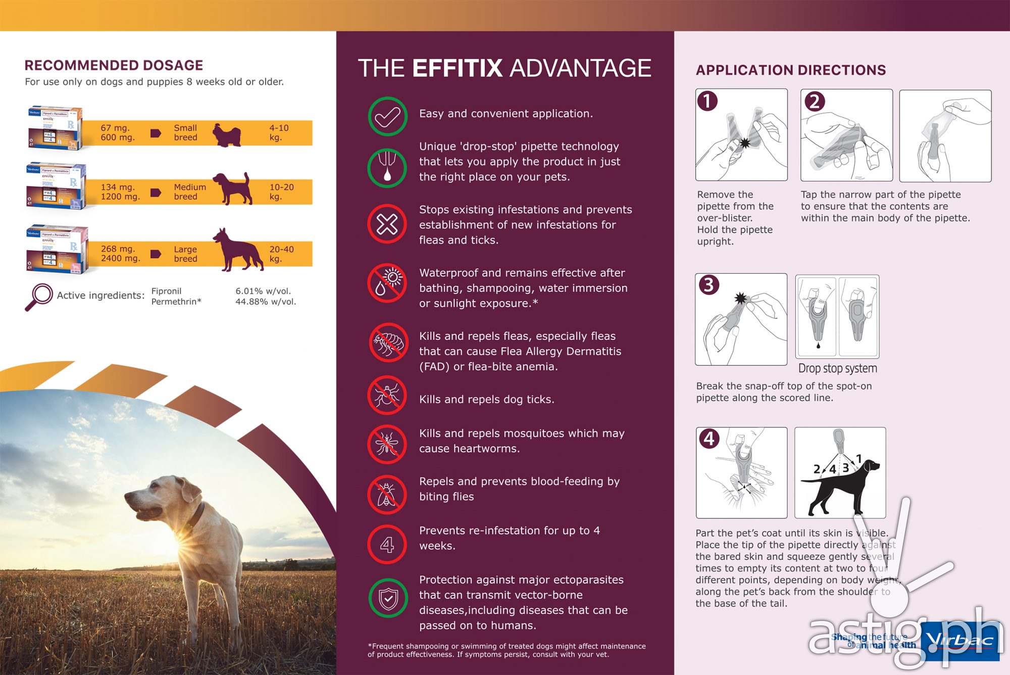 Virbac brings to PH spot on topical solution Effitix for prevention of