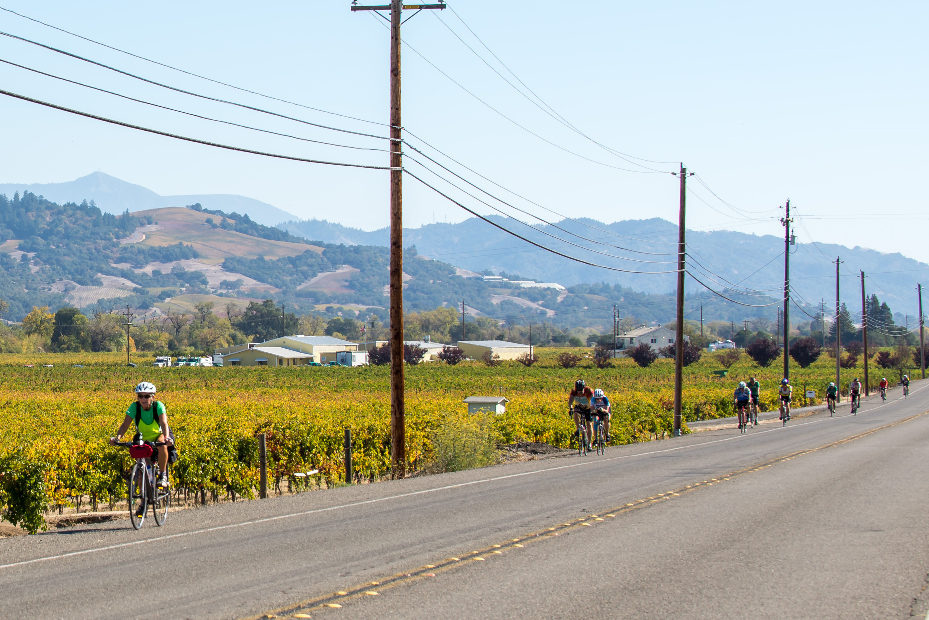 Tour de Vine_2013(102) The 16th Annual Asti Tour de Vine Is October