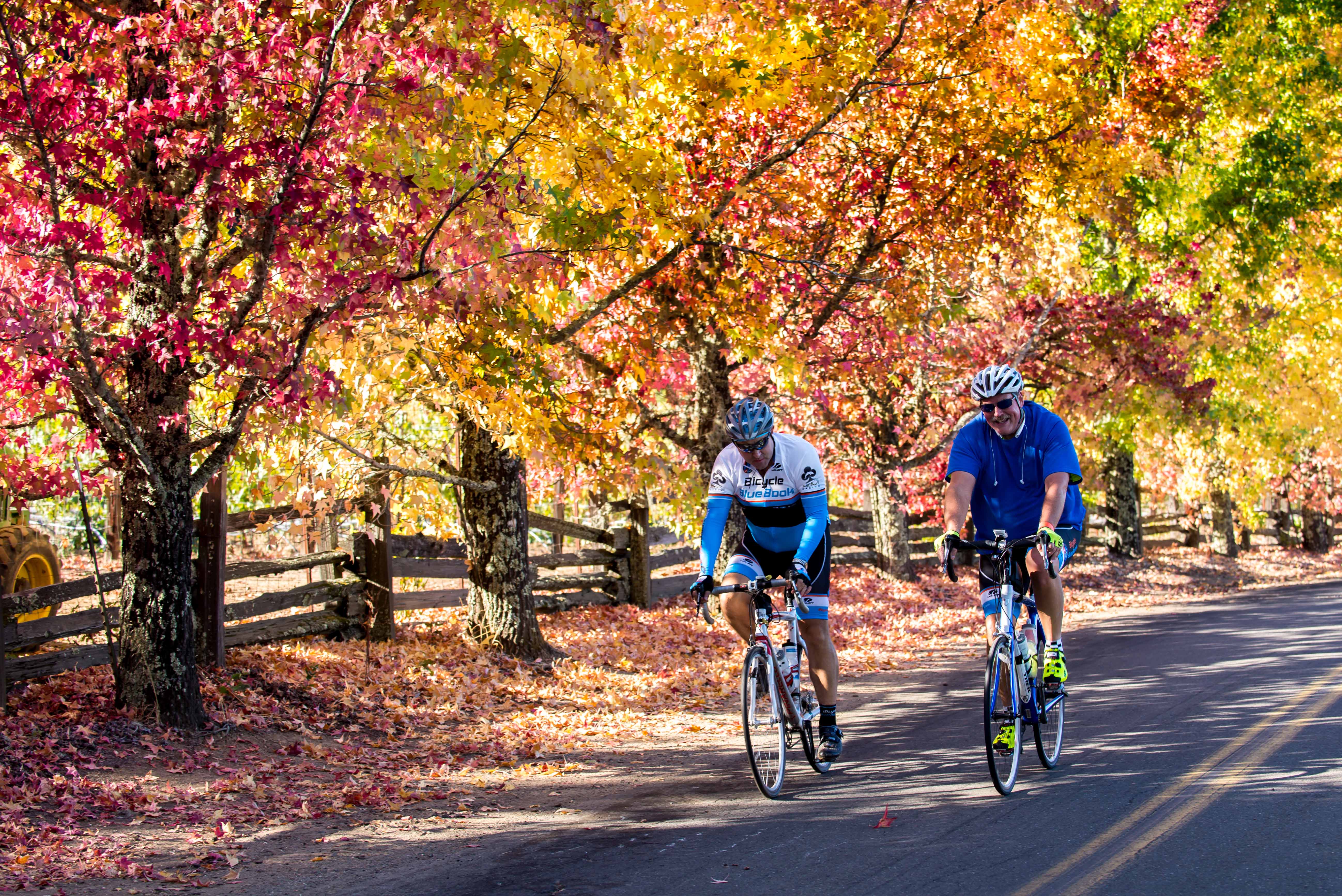 Tour de Vine_2013(34) The 16th Annual Asti Tour de Vine Is October