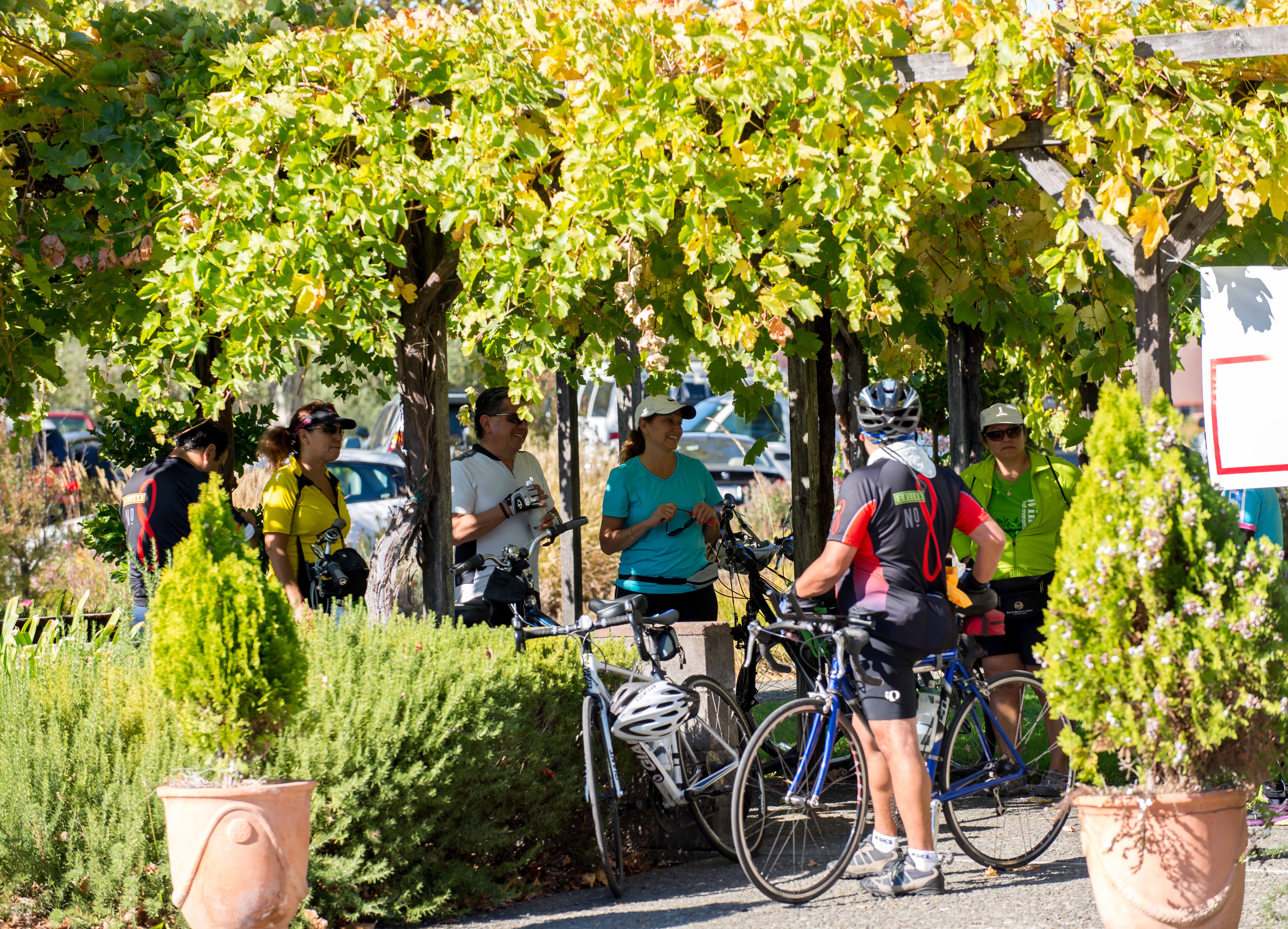 Tour de Vine_2013(64) The 16th Annual Asti Tour de Vine Is October