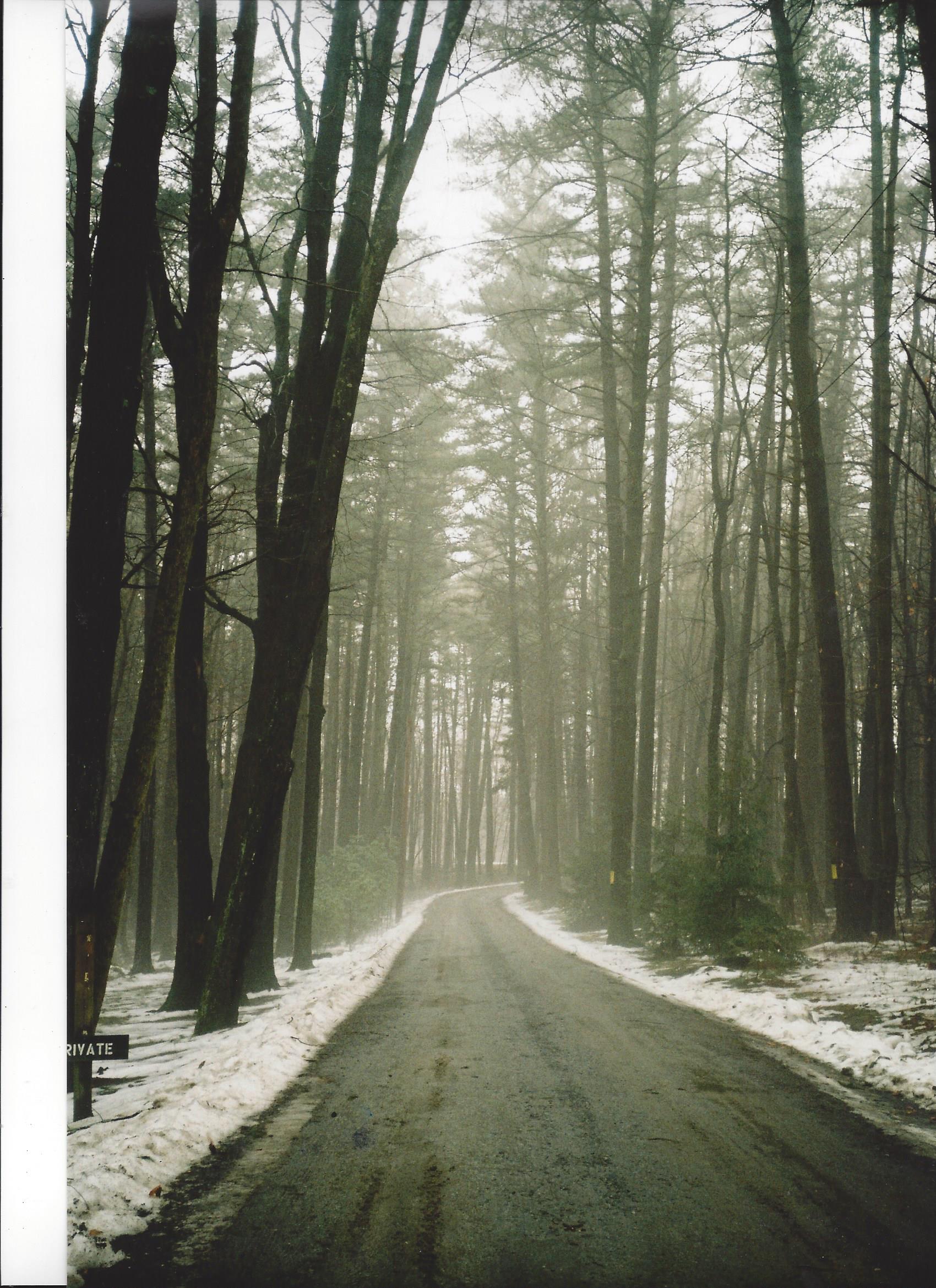 Inspiring Nico Muhly the Magical Aston Magna Estate Aston Magna