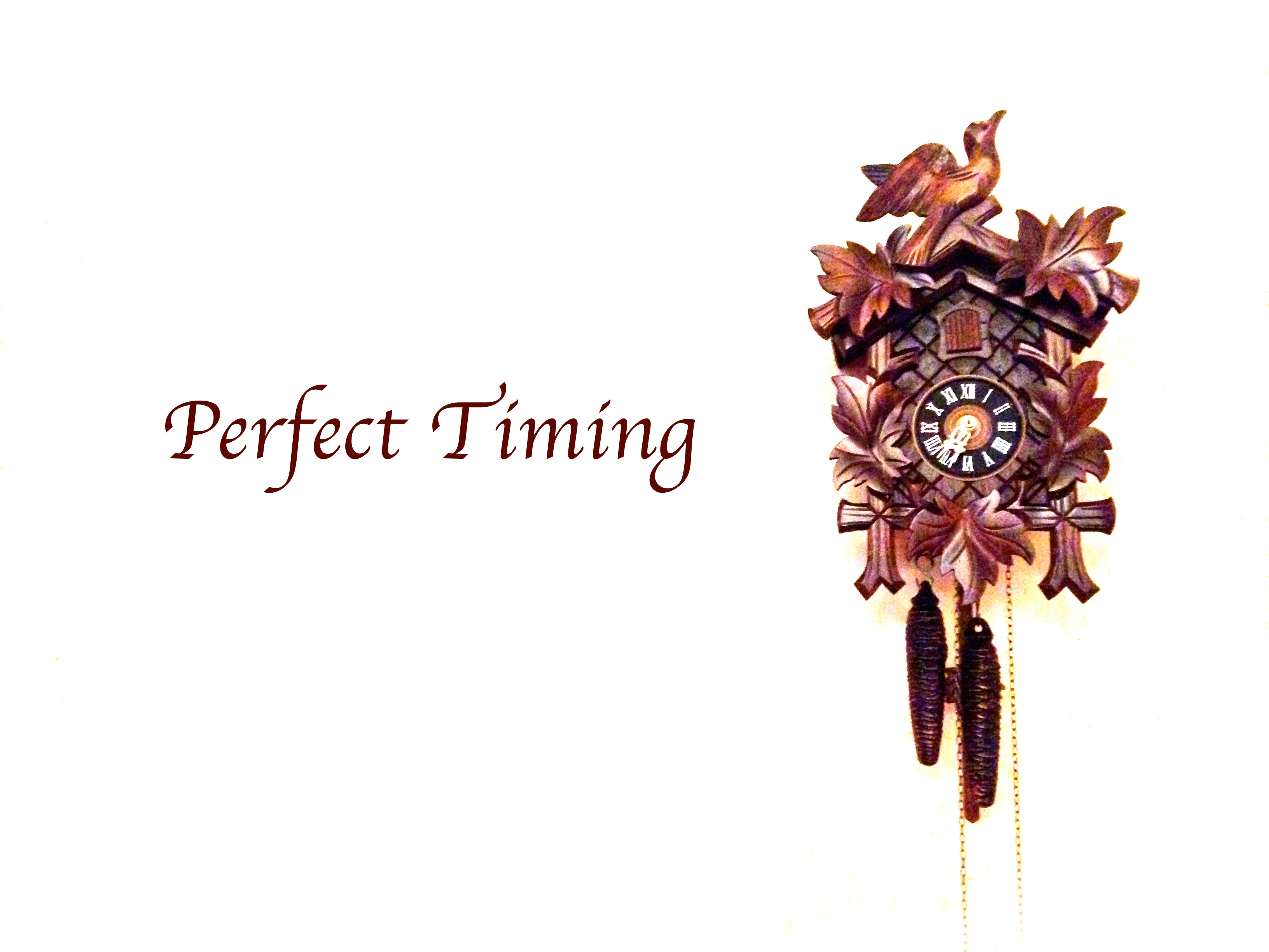 Perfect Timing a storyful Life