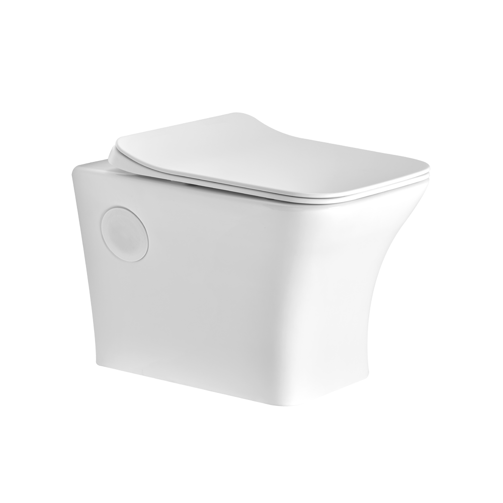 Shop Wall Mounted Toilet Seat Online Astral Bathware