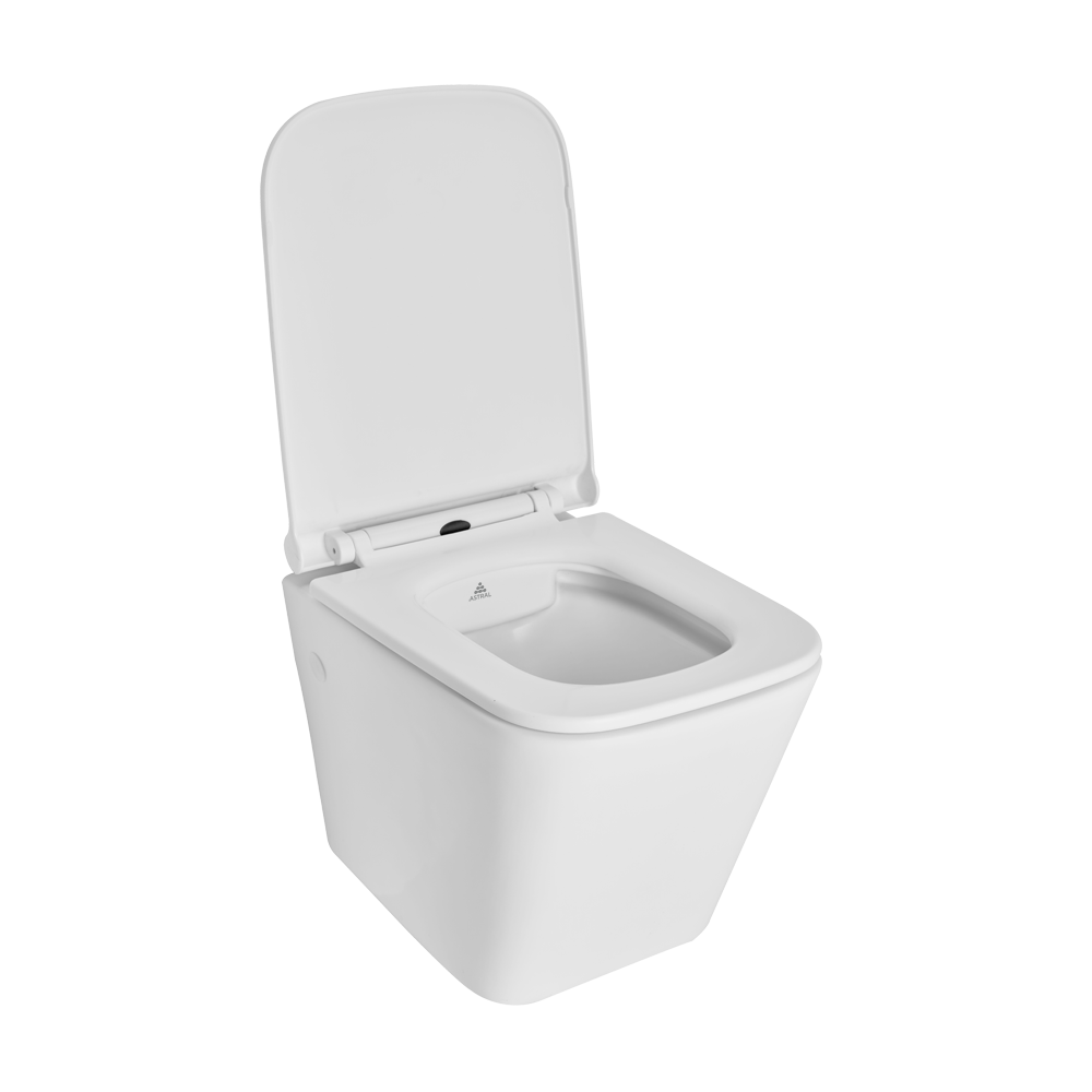 Buy Wall Hung Toilet Seat Online Astral Bathware