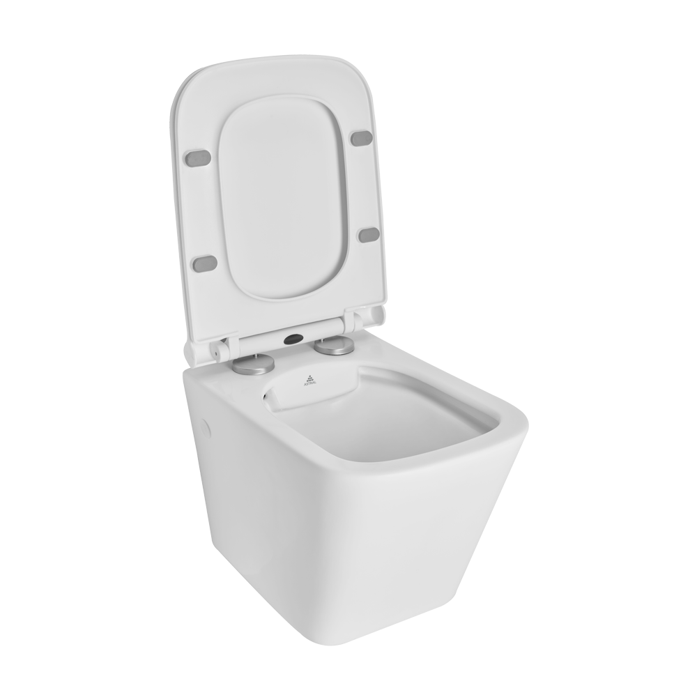 Buy Wall Hung Toilet Seat Online Astral Bathware