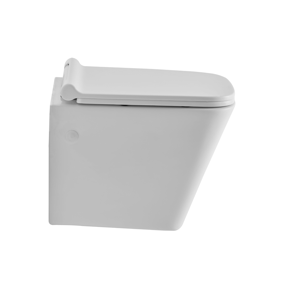 Buy Wall Hung Toilet Seat Online Astral Bathware