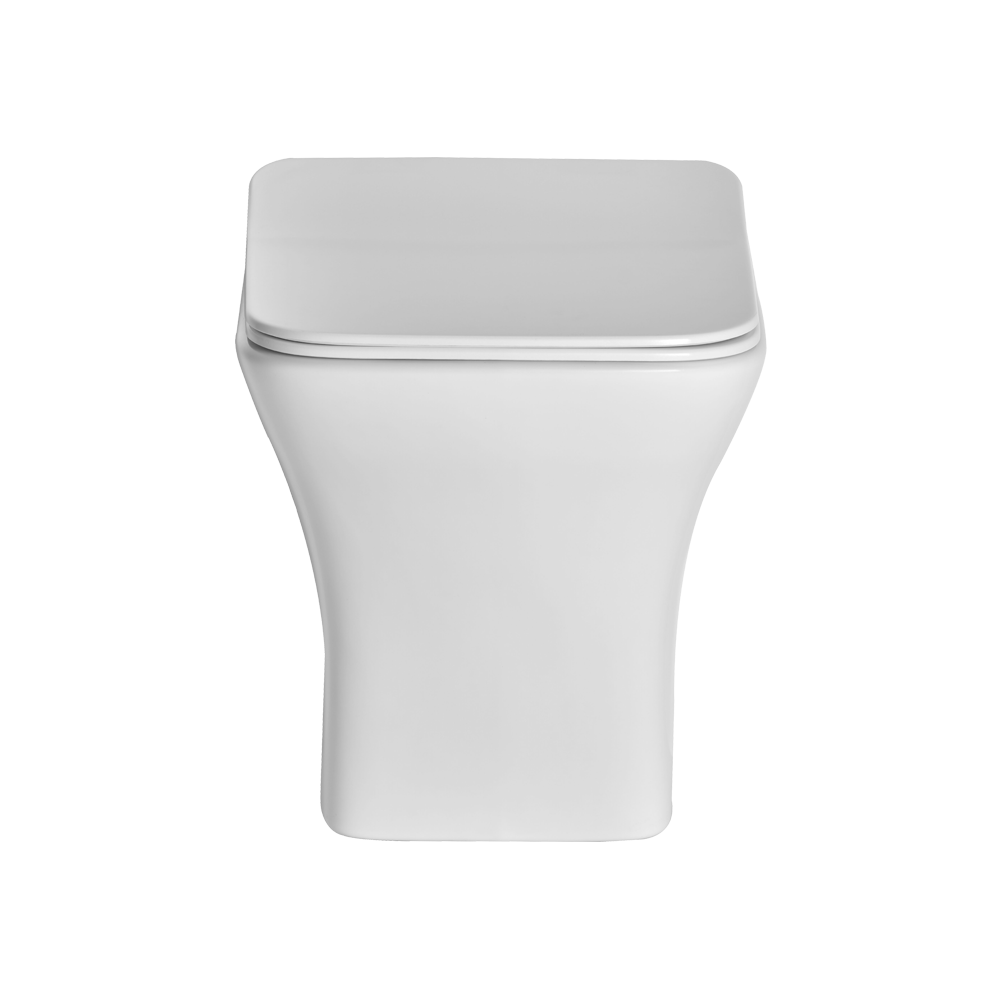 Wall Hung Toilets Shop Wall Mounted Commode For Your Bathroom