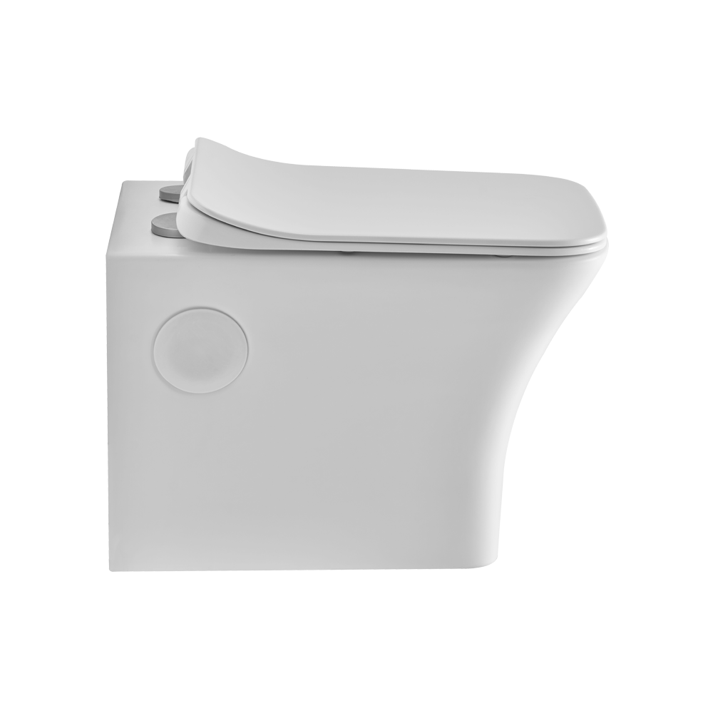 Wall Hung Toilets Shop Wall Mounted Commode For Your Bathroom