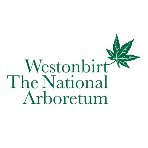 Top Lighting Design company in the World Best Lighting Company