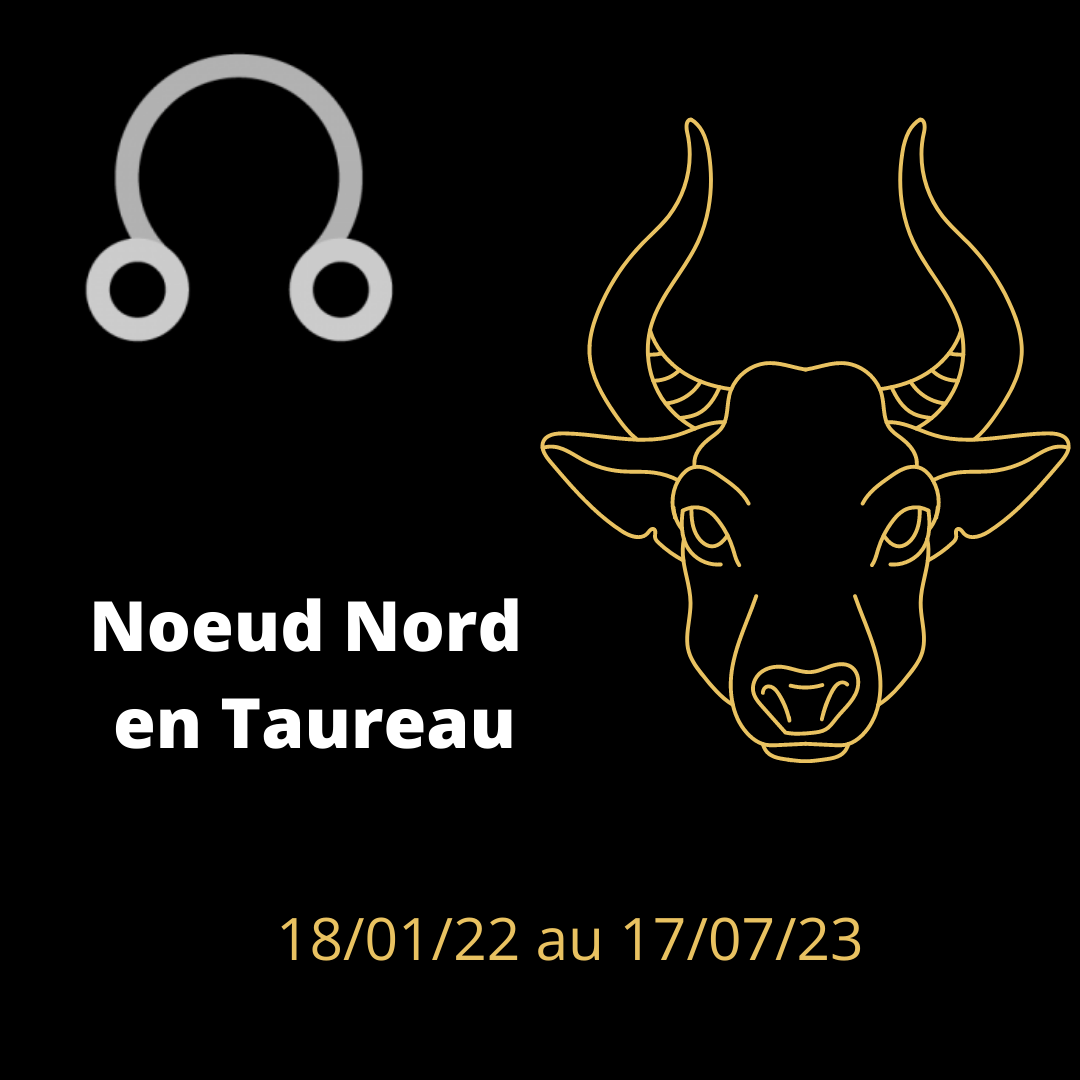 S’enraciner (Noeud Nord en Taureau) ASTRAUM