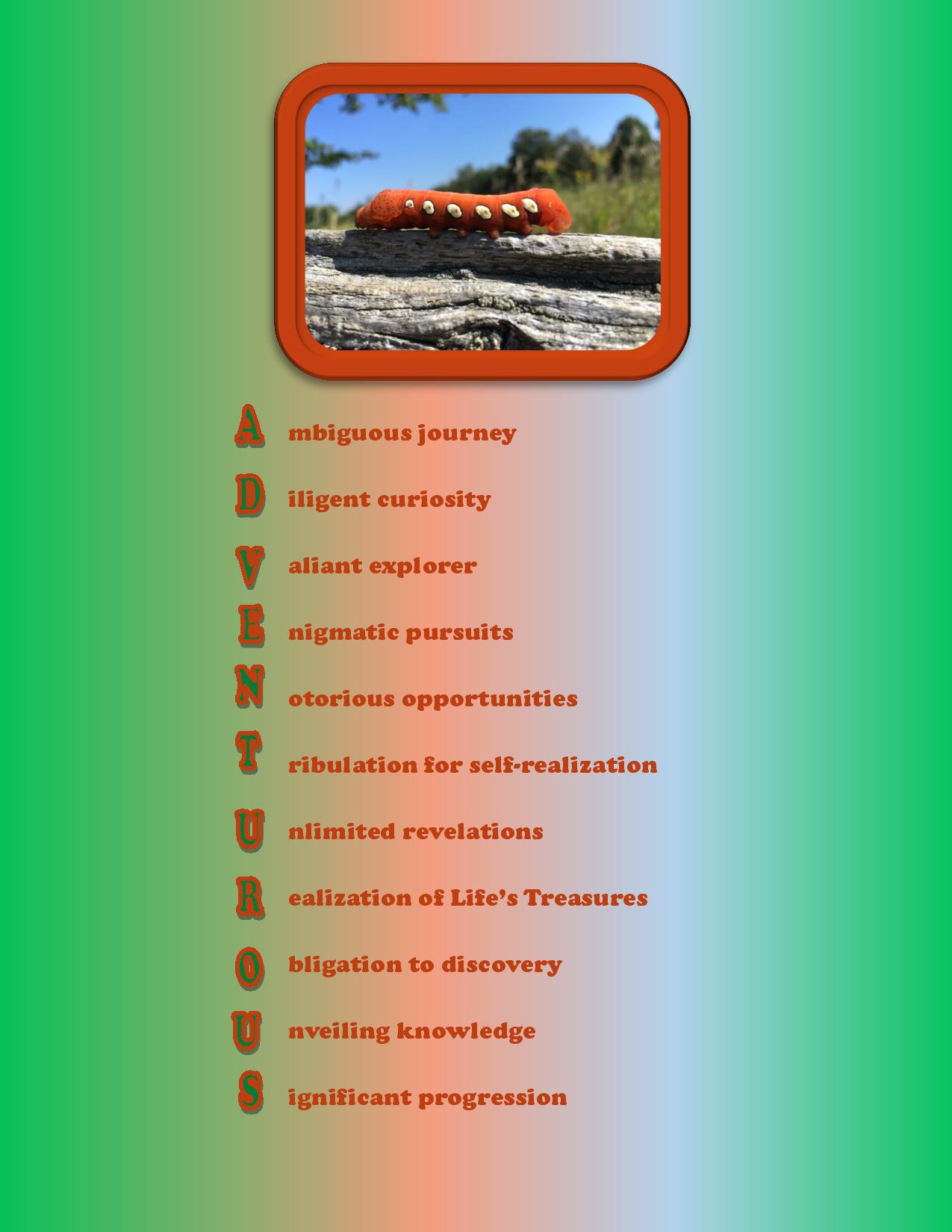 Adventurous Astrid's Words