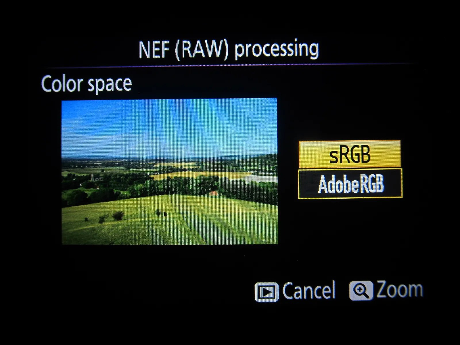 Nikon D5300 test 2 RAW (NEF) images processing