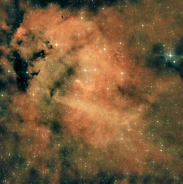Lion "head" Nebula (Shawn Petrie) AstroBin