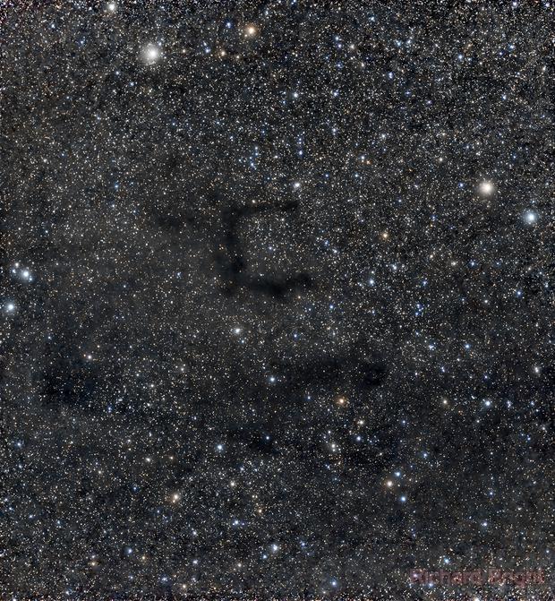 Barnard 142/143 (aka Barnard's 'E' Nebula) (Richard Bright) AstroBin