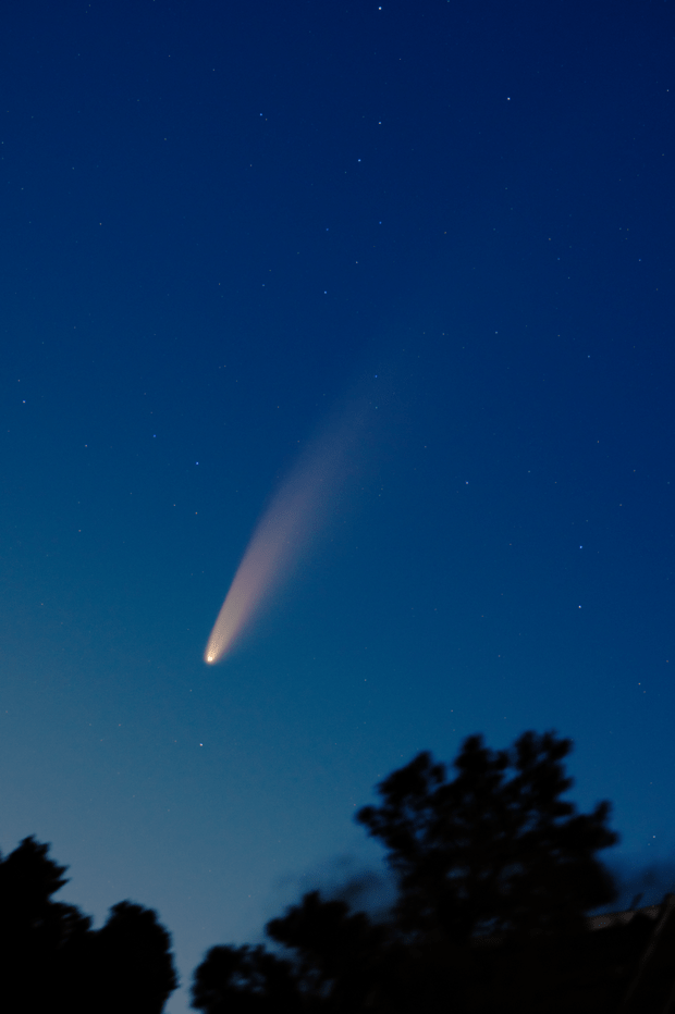 C/2020 F3 NEOWISE 7/7/2020 (Anthony Quintile) AstroBin