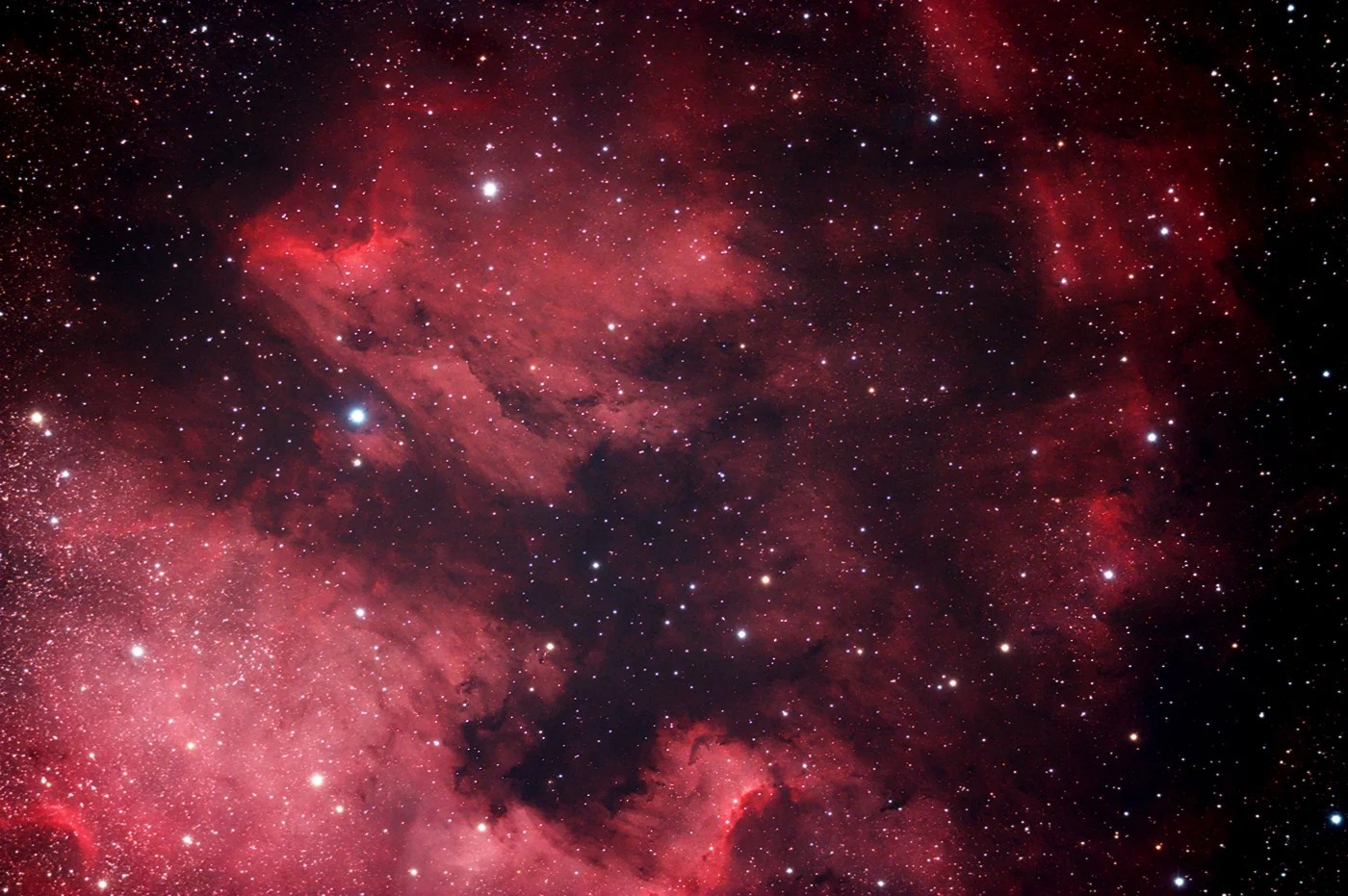 IC 5070 The Pelican Nebula AstroBackyard Astrophotography Blog