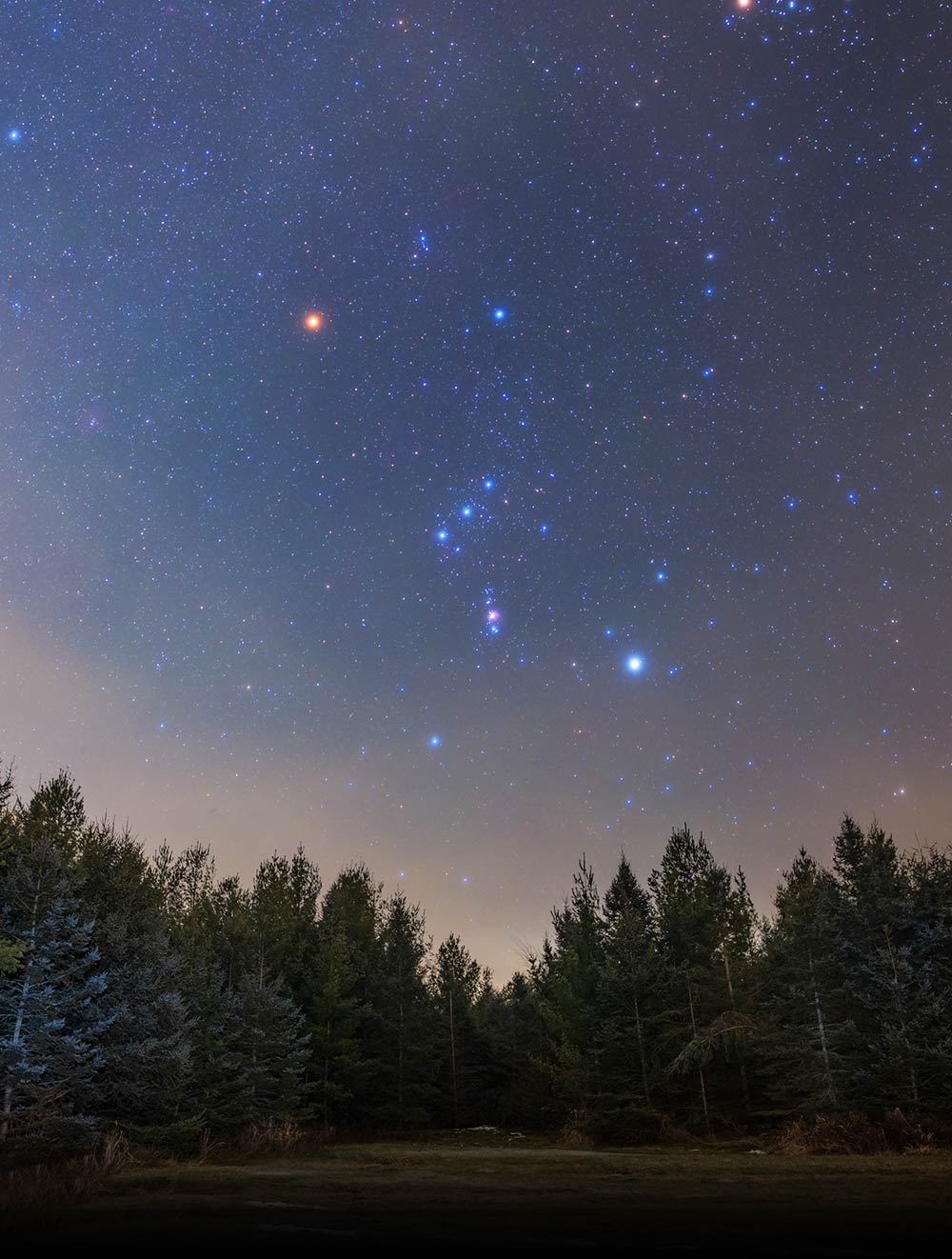 The Star Betelgeuse Pictures, Location, And Key Facts