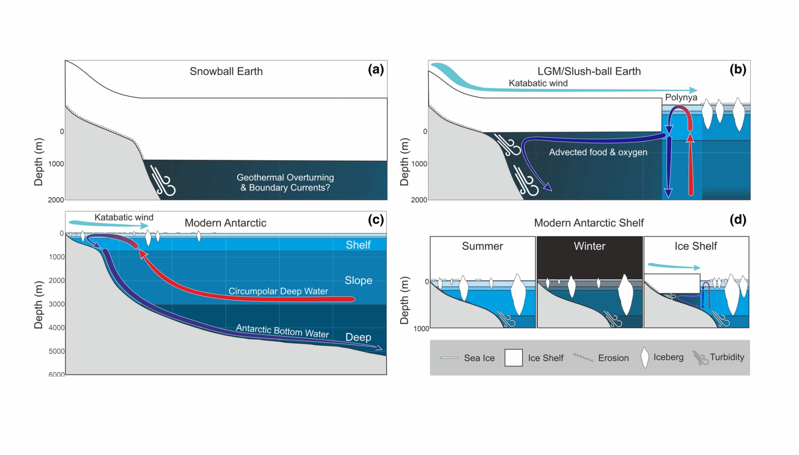 Learning About The First Animals On Earth From Life At The Poles Astrobiology
