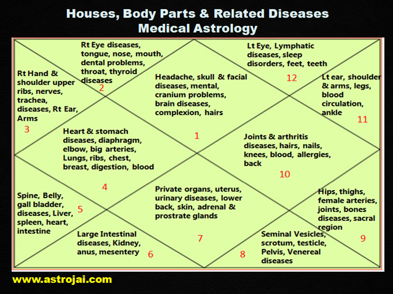 Houses & Body Parts Astrology
