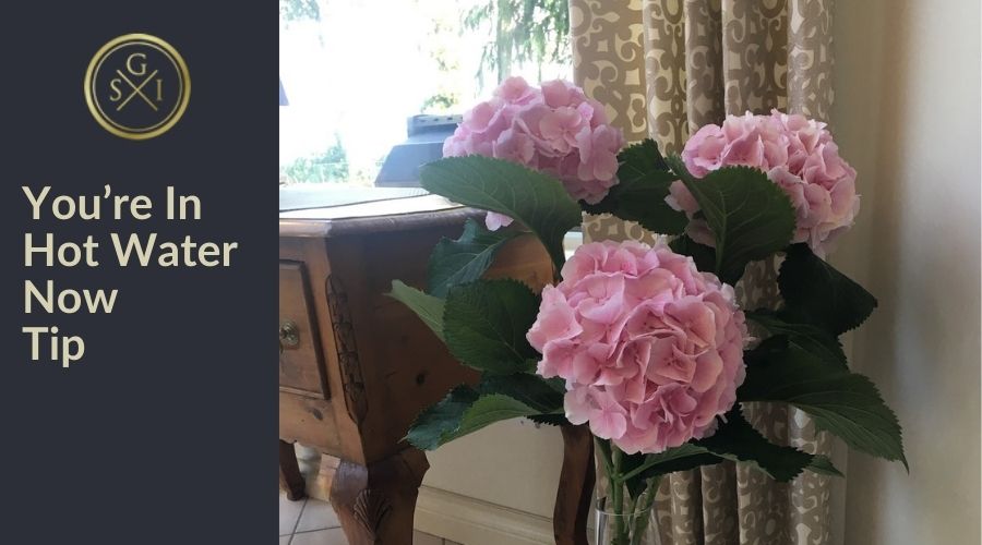 Design Tip You’re In Hot Water Now A Stroke of Genius