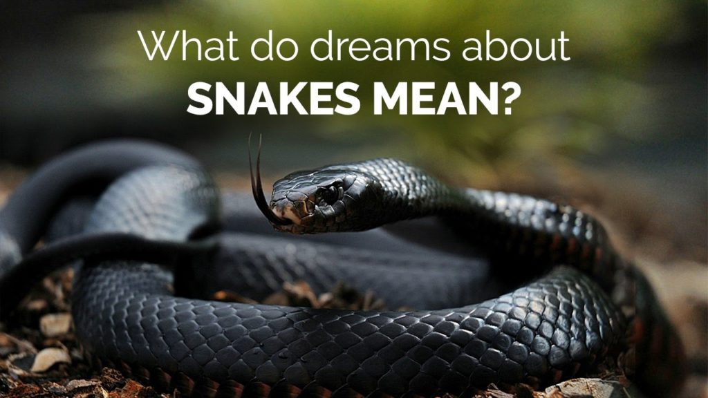 Snake in Dream Meaning Hindu Astrology Seeing Snake