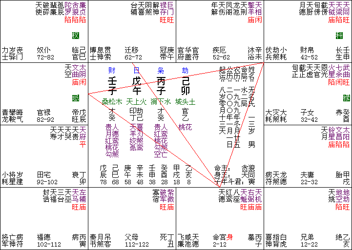 Purple Star Astrology, Software, Fortune Telling