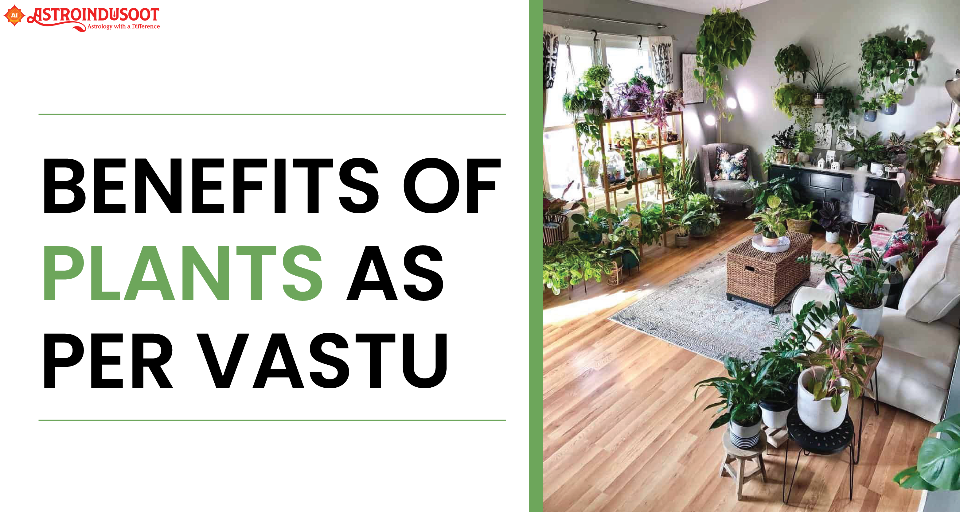 Benefits of plants as per Vastu Site Title