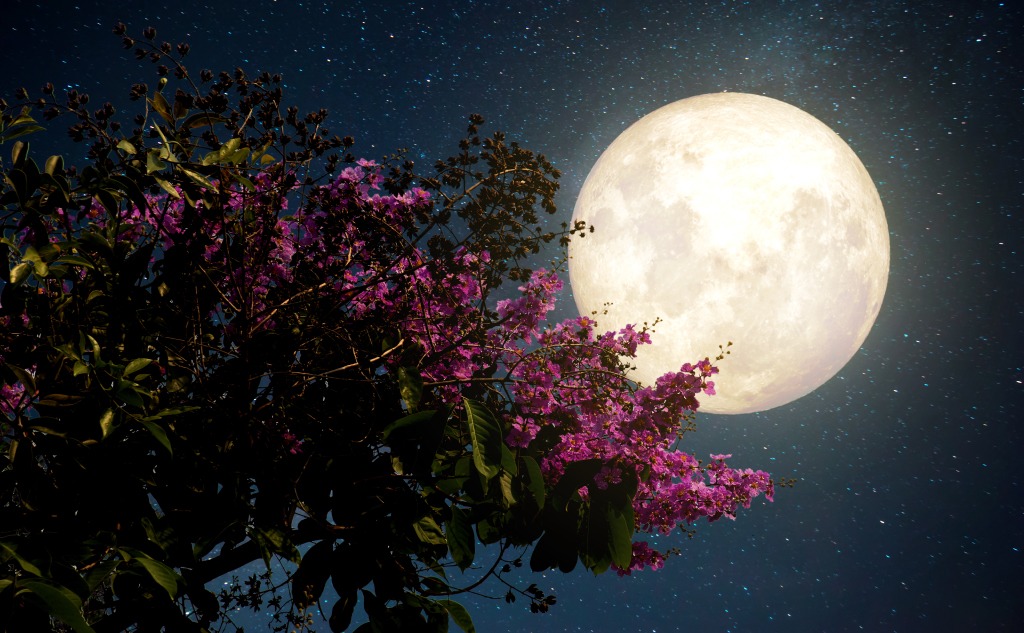 13 Full Moon Names and Their Meanings List)