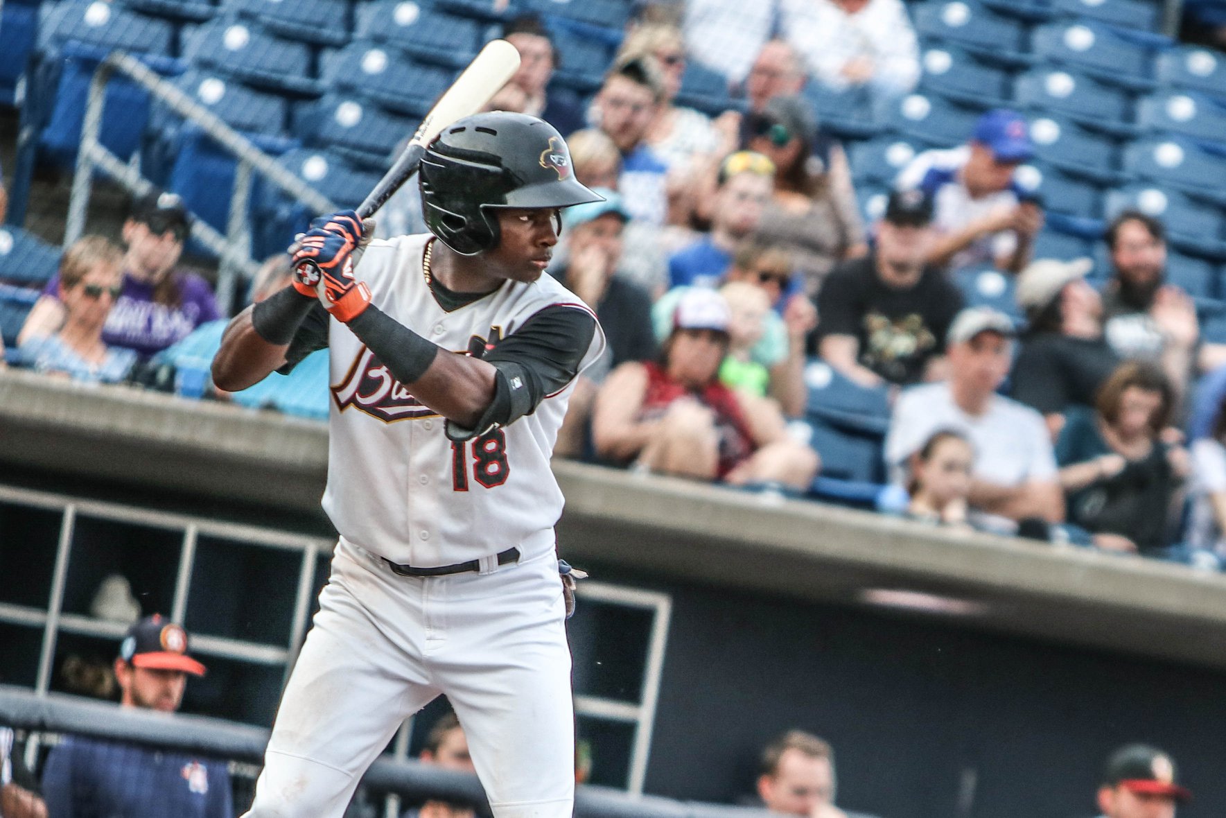 Quad Cities River Bandits Contact at Warren Netzer blog