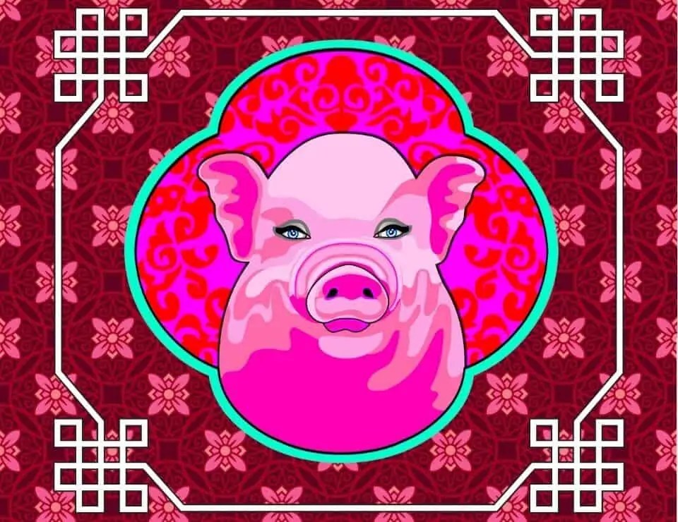 Year Of The Pig Chinese Horoscope The AstroTwins