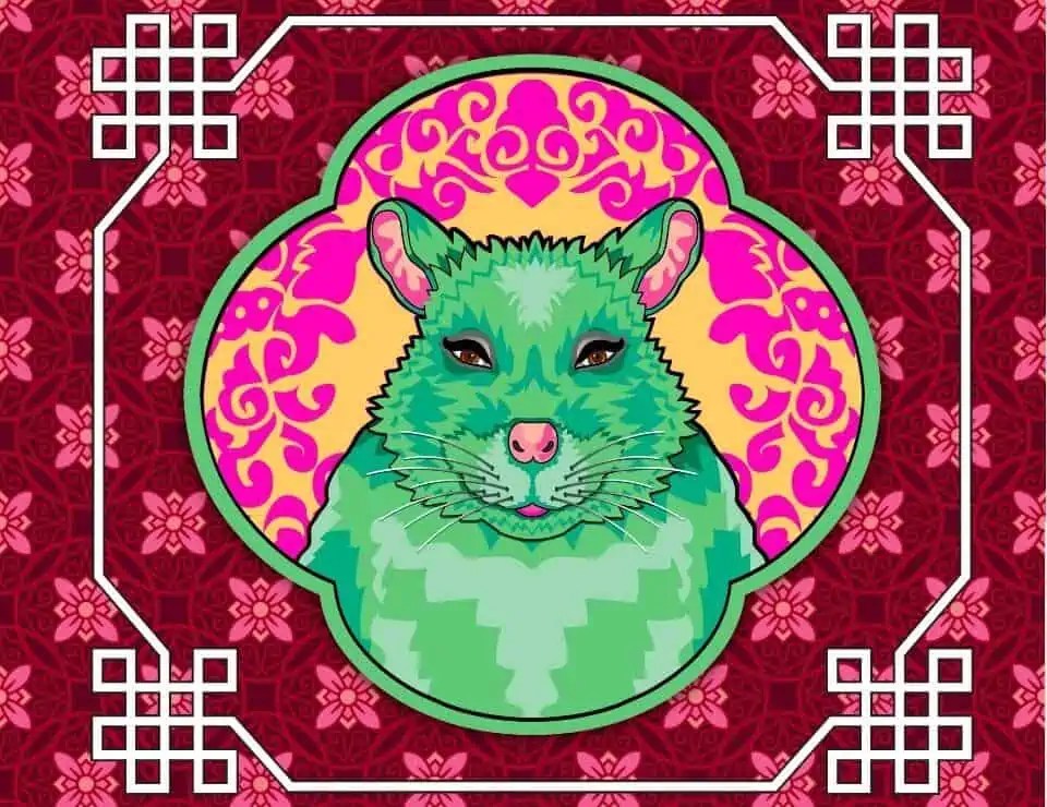 Year Of The Rat Chinese Horoscope The AstroTwins