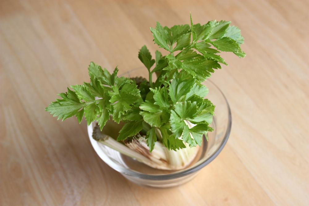 7 légumes courants à faire repousser à partir de restes Astuces sos