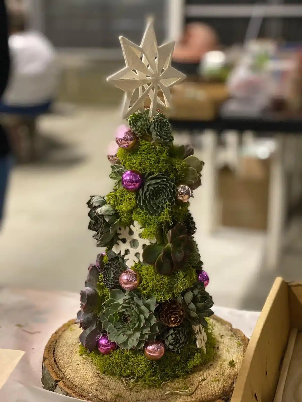 50 Stunning Succulent Christmas Trees