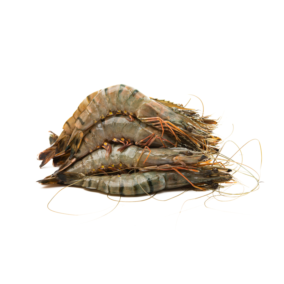Tiger Prawns (1013 Prawns Per Kg) Aswad Seafood Pakistan
