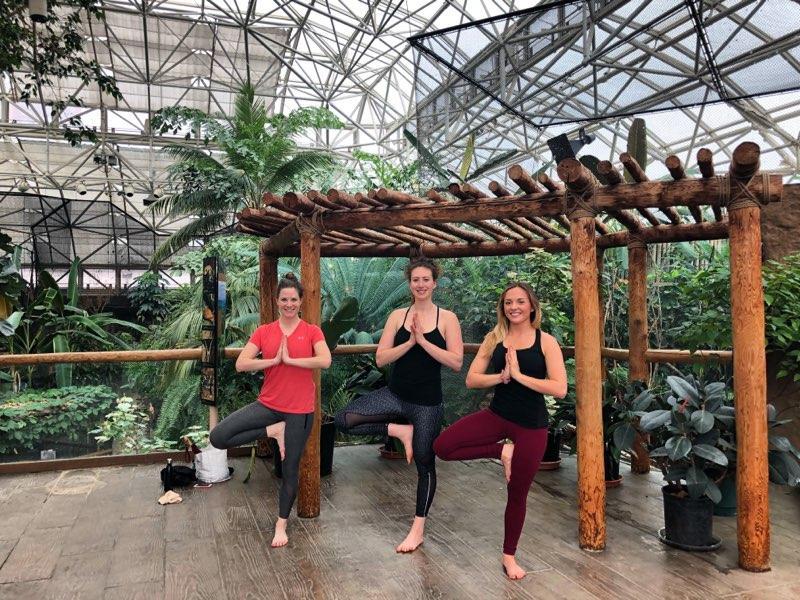 Zoo Fitness FitnessRetro