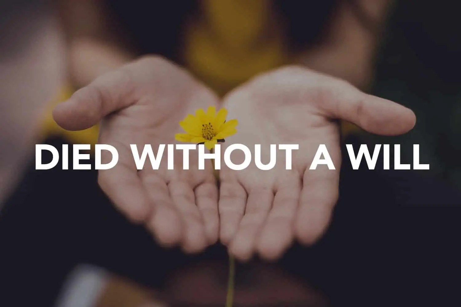 ATAC Law Family Member Died Without A Will Construction Law Firm