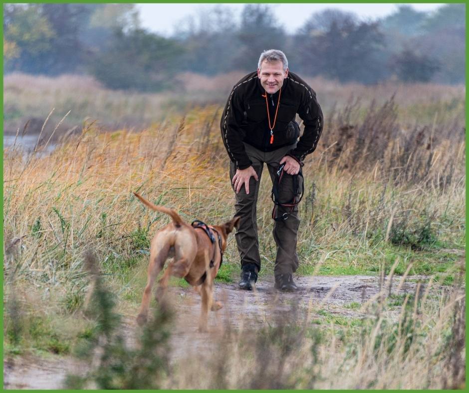 Five ideas to help with recall training Animal Training AcademyAnimal Training Academy