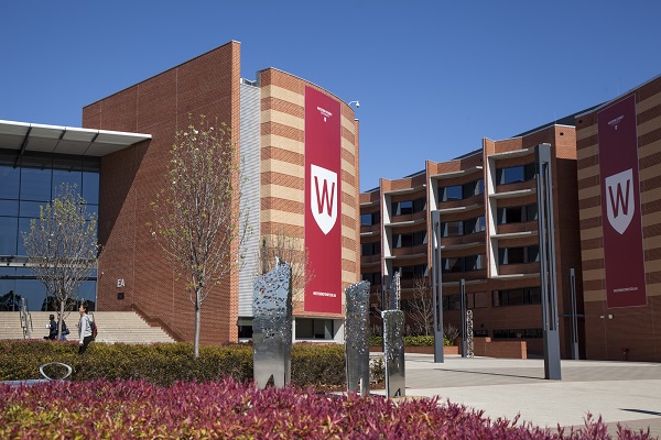 Life After HSC Nursing at Western Sydney University ATAR Notes