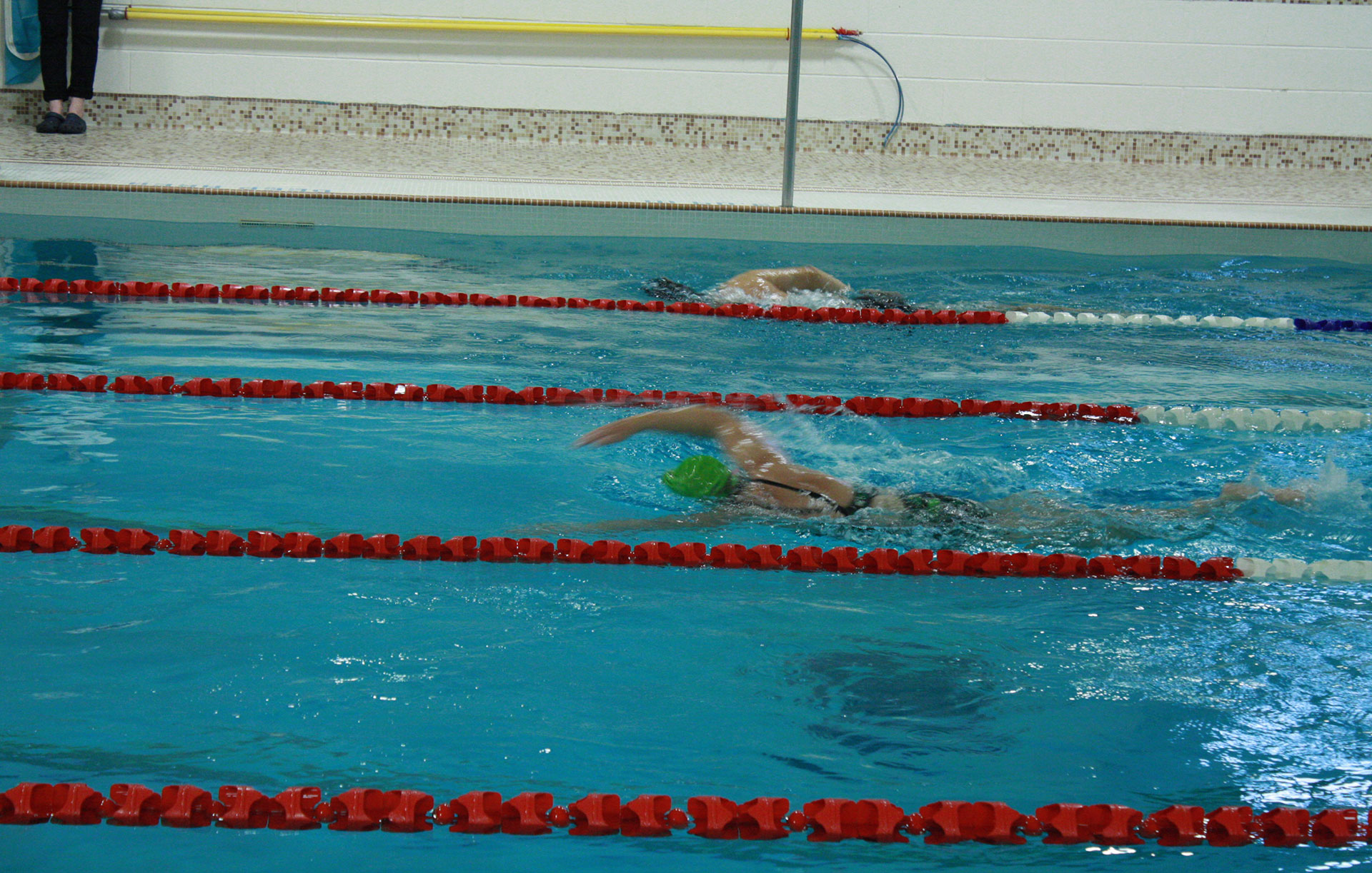 Alderwood Teddy Bares masters swim team ATB masters swim club