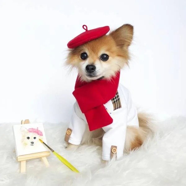 Wholesale dog clothes business online Atubz
