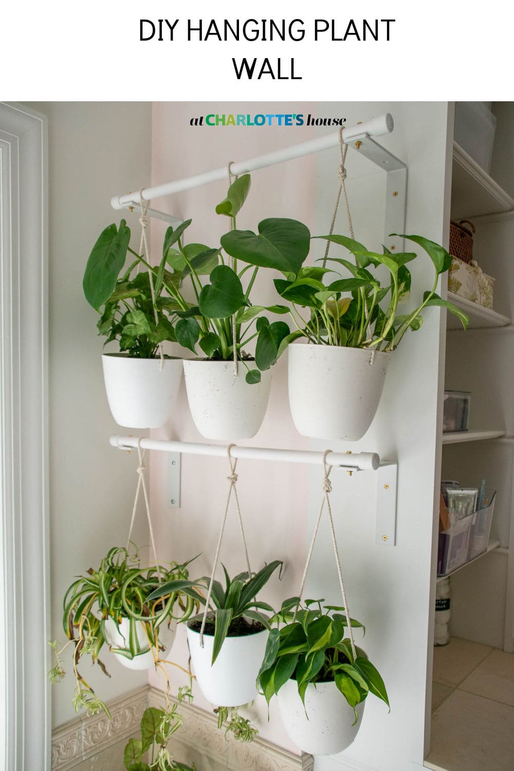 DIY Hanging Plant Wall At Charlotte's House