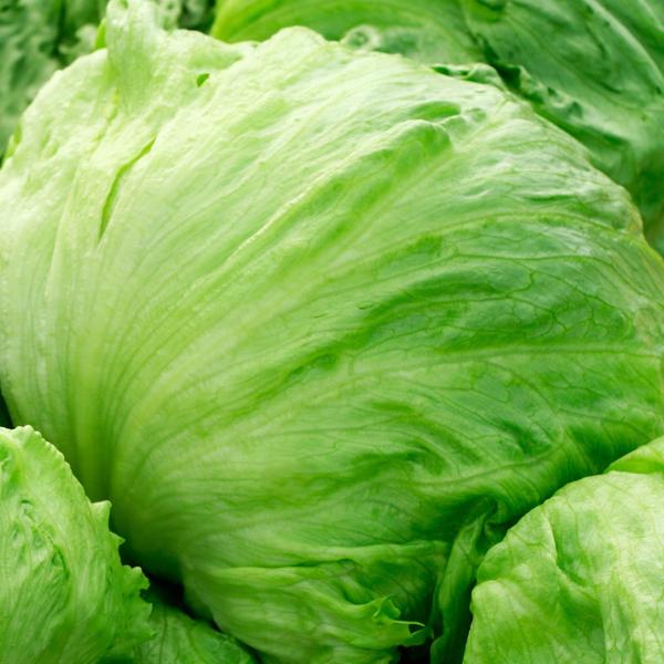 Lettuce, Iceberg x 1 A & T Cooper